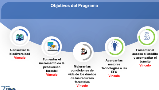 Objetivos del Programa