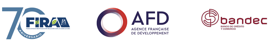 FIRA · AFD · Bandec