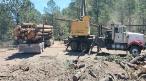 Evento Demostrativo de La Operación de Equipos de Extracción Forestal Exhacienda de Santa Bárbara, Durango, Dgo.