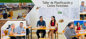 Taller para la determinación de tabuladores de costos de madera en rollo